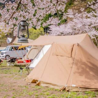 キャンプが子どもにもたらす教育効果とは